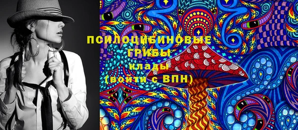 СК Волоколамск