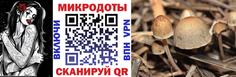 Псилоцибиновые грибы мицелий  Назарово 