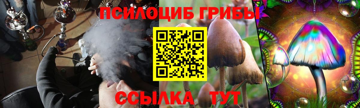 где продают наркотики  Вход с VPN  Галлюциногенные грибы Psilocybine cubensis  Назарово  Псилоцибиновые грибы мухоморы 